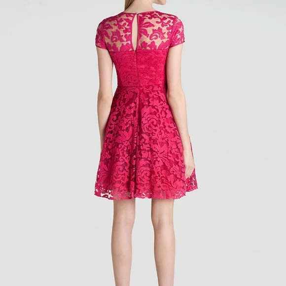 Ted Braker Elegant Red Lace Dress, size 2 - Picture 2 of 16